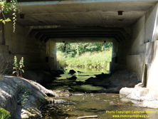 HWY 11B #24 - © Cameron Bevers