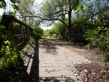 HWY 12 #227 - © Cameron Bevers