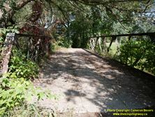 HWY 12 #228 - © Cameron Bevers