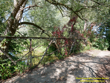 HWY 12 #229 - © Cameron Bevers