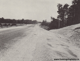 HWY 129 #21