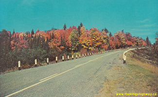 HWY 129 #24