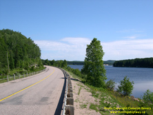 HWY 129 #44 - © Cameron Bevers