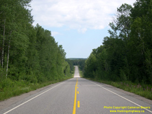 HWY 129 #46 - © Cameron Bevers