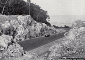 HWY 17 #1914