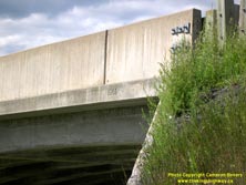 HWY 17 #241 - © Cameron Bevers