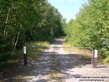 HWY 17 #609 - © Cameron Bevers