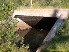 HWY 17 #632 - © Cameron Bevers