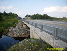 HWY 17A #20 - © Cameron Bevers