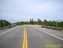 HWY 17A #46 - © Cameron Bevers