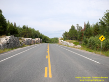 HWY 17A #48 - © Cameron Bevers