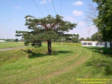 HWY 2 #138 - © Cameron Bevers