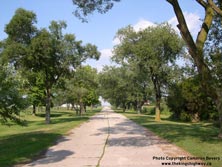 HWY 2 #72 - © Cameron Bevers