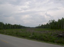 HWY 26 #4 - © Cameron Bevers