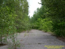 HWY 27 #13 - © Cameron Bevers