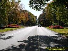 HWY 59 #38 - © Cameron Bevers