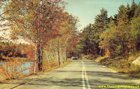 HWY 118 #124