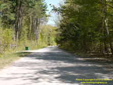 HWY 118 #131 - © Cameron Bevers