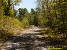 HWY 118 #132 - © Cameron Bevers