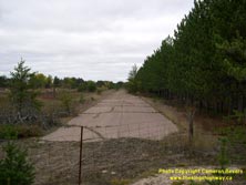 HWY 17 #272 - © Cameron Bevers