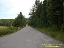 HWY 17 #422 - © Cameron Bevers