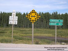 HWY 17 #425 - © Cameron Bevers