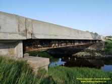 HWY 17 #655 - © Cameron Bevers