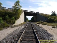HWY 17 #890 - © Cameron Bevers