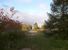 HWY 2 #88 - © Cameron Bevers