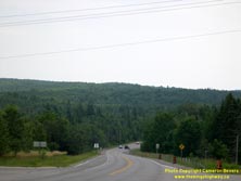 HWY 45 #8 - © Cameron Bevers