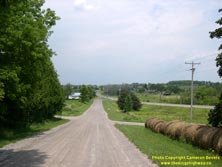 HWY 45 #9 - © Cameron Bevers