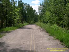 HWY 60 #10 - © Cameron Bevers
