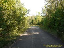 HWY 60 #165 - © Cameron Bevers
