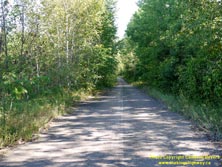HWY 60 #166 - © Cameron Bevers