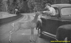 HWY 60 #98