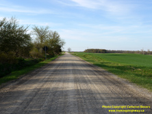 HWY 7 #589 - © Cameron Bevers
