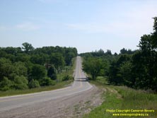 HWY 7 #81 - © Cameron Bevers