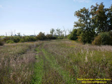 HWY 35 #400 - © Cameron Bevers