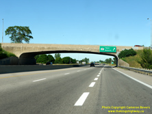 HWY 401 #1086 - © Cameron Bevers
