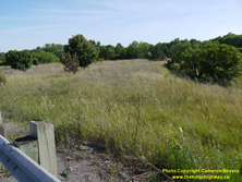 HWY 401 #1088 - © Cameron Bevers