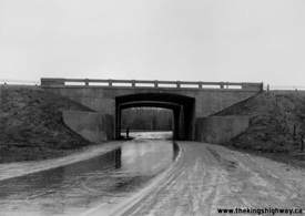 HWY 401 #1718