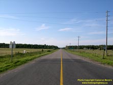 HWY 542 #58 - © Cameron Bevers