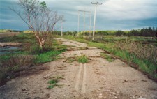 HWY 6 #305 - © Cameron Bevers