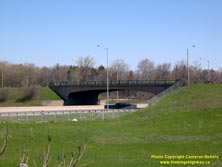 QEW #235 - © Cameron Bevers