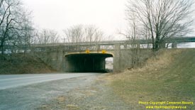 QEW #51 -  © Cameron Bevers