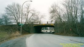 QEW #52 -  © Cameron Bevers