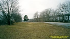 QEW #54 -  © Cameron Bevers