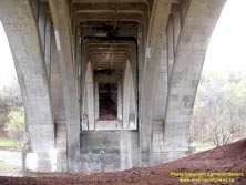 QEW #68 - © Cameron Bevers