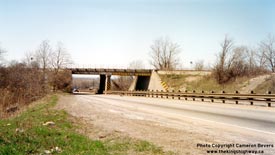 QEW #75 -  © Cameron Bevers