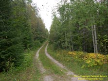 HWY 11 #598 - © Cameron Bevers